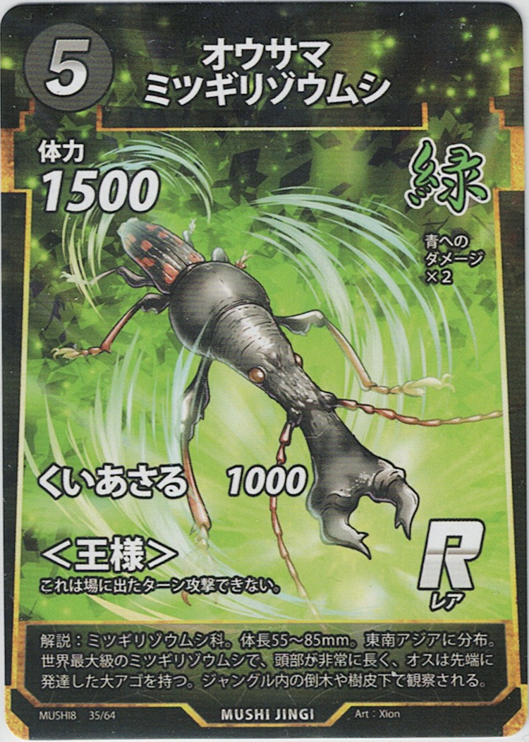 MUSHI8-035 R オウサマミツギリゾウムシ